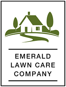 New York Lawn Care Services