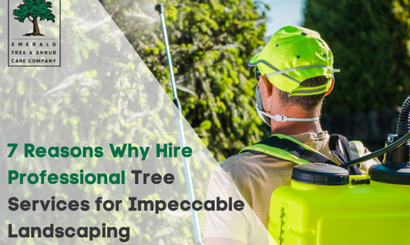 7 Reasons Why Hire Professional tree services For Impeccable Landscaping