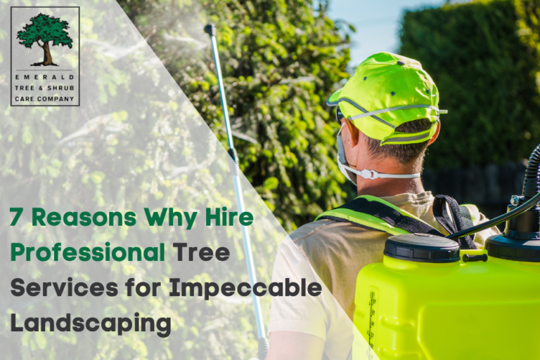 7 Reasons Why Hire Professional tree services For Landscaping