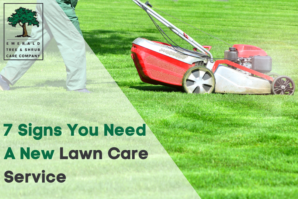 7 Signs You Need A New Lawn Care Service