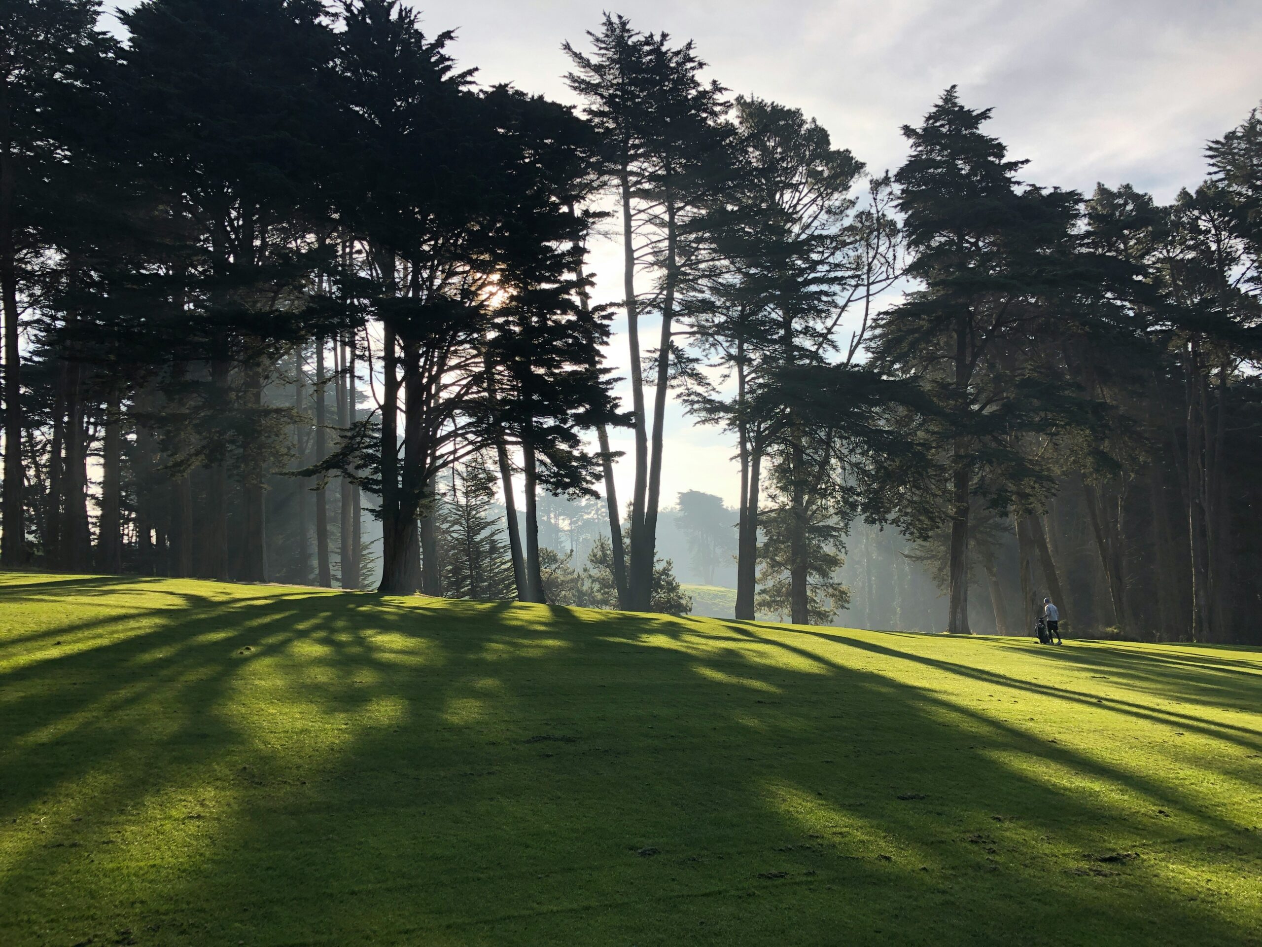 well maintained golf course with trees