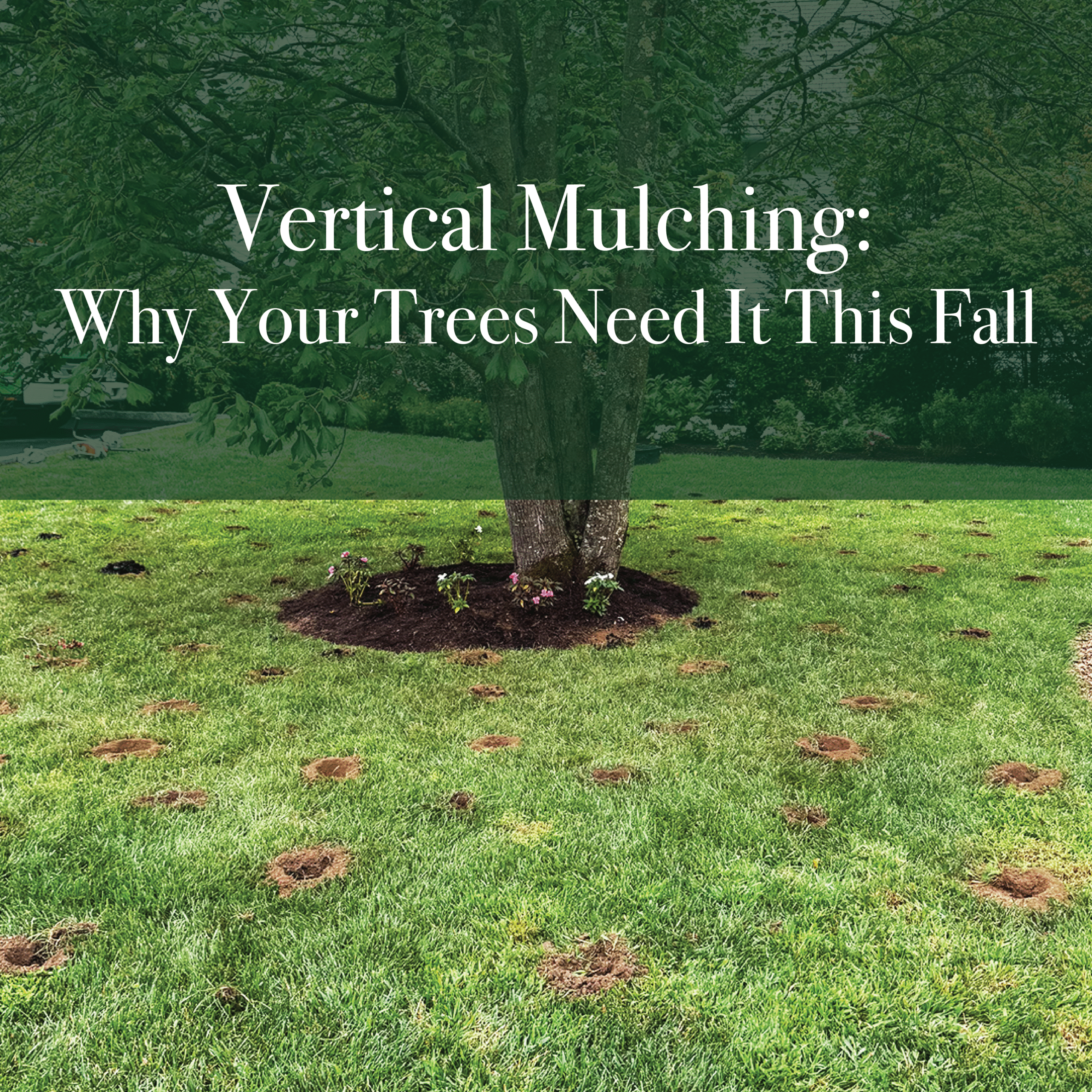 what is vertical mulching