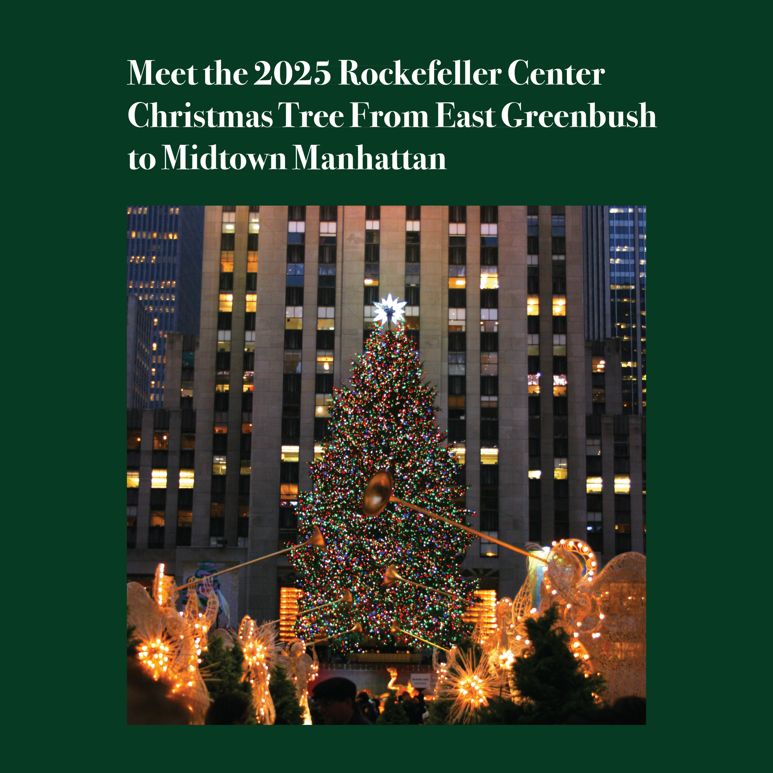 🌲 The Story Behind the Rockefeller Center Christmas Tree: A Tradition Rooted in Care